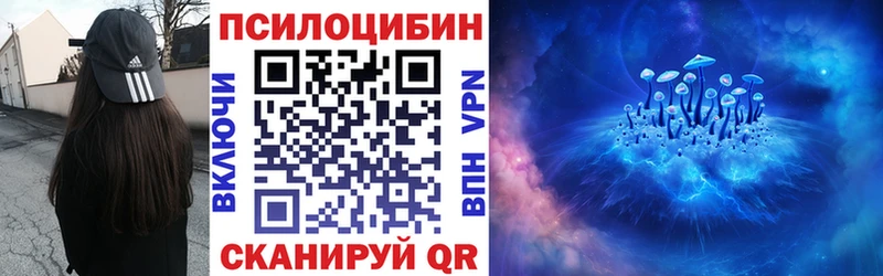 где купить   blacksprut ONION  Псилоцибиновые грибы Cubensis  Макушино 